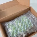 퍼털그라운드 이미지