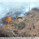 자연6 태양광발전소 이미지