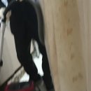 금가오토바이 이미지