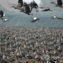 김철2농장 이미지