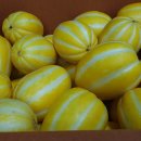 칠봉농장 이미지