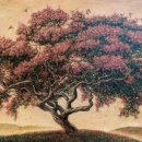 김호원 카카오 검색결과