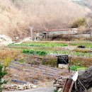 안기천로 이미지
