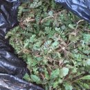 홍성농장 이미지