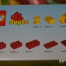 개봉동물병원 이미지