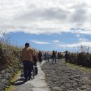 제주특별자치도 지체장애인협회 서귀포시지회 이미지