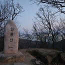 월롱이불
