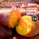 해남땅끝농산