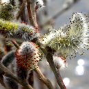 리버빌펜션 이미지