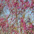 준피부과의원 이미지