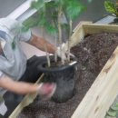 보수동 주민센터 이미지