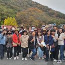 팔마초등학교 이미지