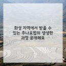 화성한방병원 이미지