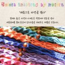 마크라메 소품 제작 | 열매의숲 핸드메이드 마크라메 화분걸이 사용 후기