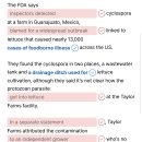 143)October 7th, 2026 'The Foodborne Illness Caused By Lettuce' 이미지