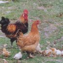 상식농장 이미지