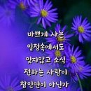 바나나 껍질로 할 수 있는 16가지 이미지