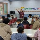 영양 만점 요리 이미지