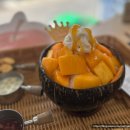 베트남 다낭 아이와 여행｜다낭 안토이 내돈내산 후기, 한시장 맛집 다낭오빠 망고빙수