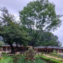 자연쌈밥 이미지