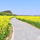 영산강둔치체육공원 이미지