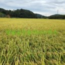 두원면사무소 이미지