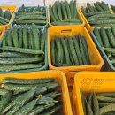 동운농장 이미지