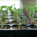 순화농장 이미지