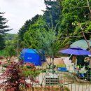 축령산 농장 이미지