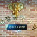 진타이 이미지