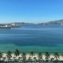 웰스약국 이미지