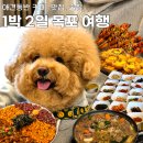씨유 광주포차타운점 | 강아지와 함께 떠나는 애견동반 1박2일 목포여행 코스 | 숙소부터 핫플까지 완벽 정리