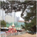 늘솔길근린공원 | 인천 남동구 논현동 ‘늘솔길근린공원' 2026년 1월 9일