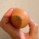 포무브 | 베이비무브 초기이유식 채소큐브 총정리(+알러지 테스트)