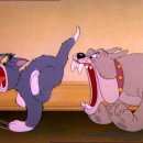 톰과 제리 이미지