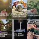 MZ세대 이색등산 트렌드: 중년코어 산악회부터 개운산행, 럭키맥싱까지