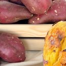 개미농장 2농장 이미지