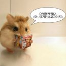 벌툰파리지앵김량장점 네이버블로그