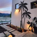 에브리선데이 커피 이미지