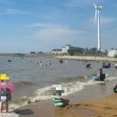 방아머리공원(솔밭) | 대부도 여행 추천 방아머리 해수욕장, 서울 당일치기 갈만한 곳, 서울 근교 드라이브, 경기도 안산...