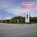 사천견생 이미지