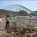 준현농장(3) 이미지