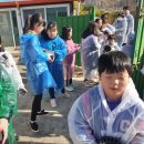 행안초교 프레시안