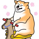 팔구제면소 명지국제점 네이버블로그