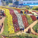 (주)향연