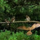 호수천연축구장 이미지