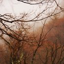 천안삼거리(서울) 이미지