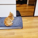 지인동물약품 이미지