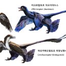 화석 2002 이미지