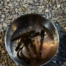 주천낚시백화점 이미지